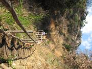 Img 4871
