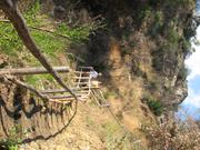 Img 4872