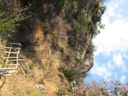 Img 4873