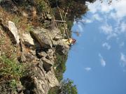 Img 4874