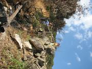 Img 4875
