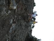 Img 4878