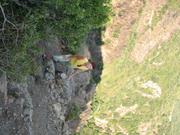 Img 4879