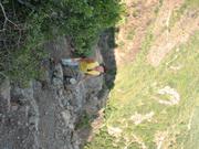 Img 4880