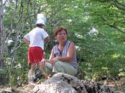 Img 4884