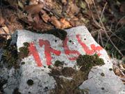 Img 4885