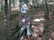 Img 4886