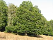 Img 4888