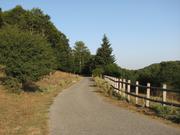 Img 4892