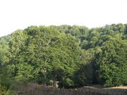 Img 4893