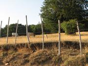 Img 4894
