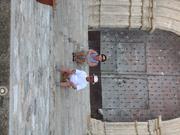 Img 4918