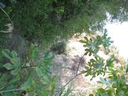 Img 4926