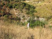 Img 4928