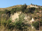 Img 4929