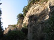 Img 4931