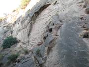Img 4937