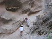 Img 4941