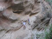 Img 4942