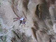 Img 4946