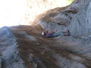Img 4950