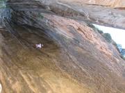Img 4956