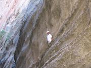 Img 4958