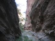 Img 4961