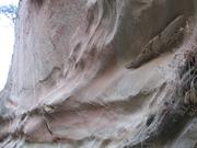 Img 4963