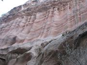 Img 4964
