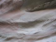 Img 4965