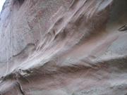 Img 4966