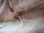 Img 4967