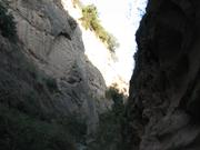 Img 4970