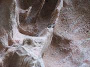 Img 4975