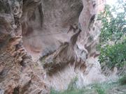 Img 4976
