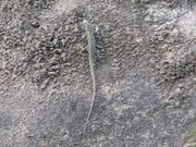 Img 4979