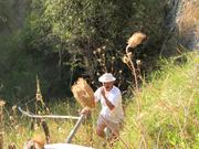 Img 4981