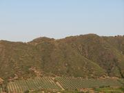 Img 4984