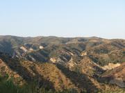 Img 4986