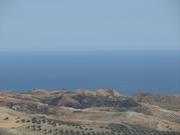 Img 4988