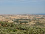 Img 4991