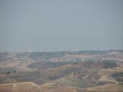 Img 4995