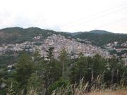 Img 5007