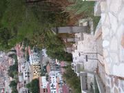 Img 5009