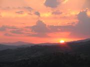 Img 5011