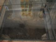 Img 5057
