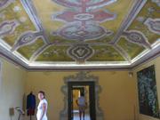 Img 5061