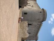 Img 5067