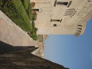 Img 5069
